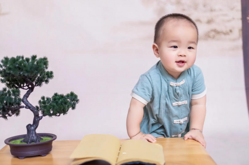 昆明可爱的企鹅宝宝
